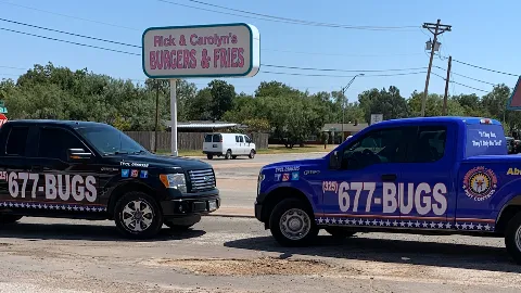 American-Allied Pest Control in Abilene