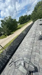 SOLAR PANTHER photo 7