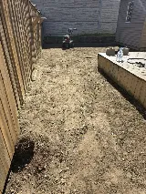Malik's Turf photo 6