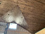 Titan Termite and Construction
