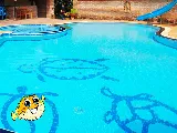 Puddle Pool Services photo 8