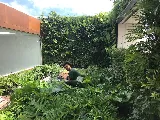 VERDE VERTICAL INC photo 6