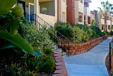Green Valley Landscape photo 2
