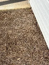 All U Need Pest Control photo 8