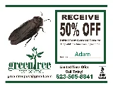 Greentree Pest Control photo 2