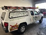 Treebark Pest Control Services