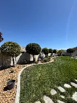 Angelo Landscaping services