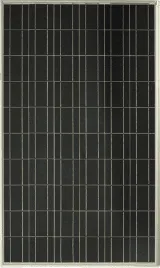 Global Solar Supply photo 5