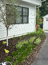 KG Landscape Management photo 5