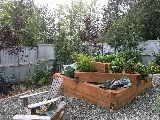 Cardenas Landscaping Service LLC photo 7