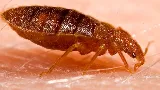 GottaGo Pest Control photo 2