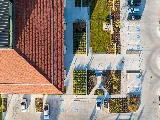Southern Botanical Landscaping photo 10
