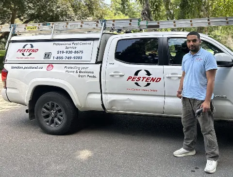 Pestend Pest Control London photo 1