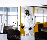 Newton Pest Control photo 2