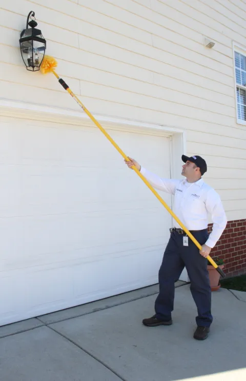Insight Pest Solutions in Akron