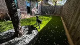 Houston Landscape Pros photo 5