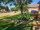 Plano Landscaping photo 2