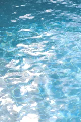True Light Pools, LLC photo 7