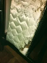 All Out Bed Bug Exterminators NYC photo 8