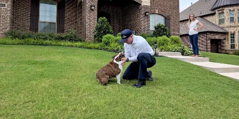 Moxie Pest Control photo 1