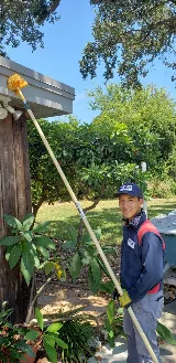 Fox Pest Control Pharr photo 8