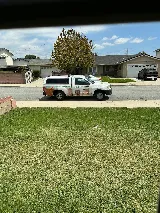 Treebark Termite and Pest Control photo 6
