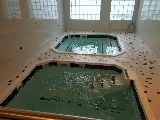 Caribbean Pools Inc photo 5