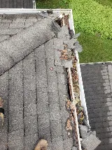 Guardian Preventative Termite & Pest Control photo 4