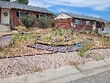 All States Landscaping photo 5