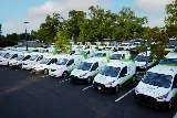 Environmental Pest Management