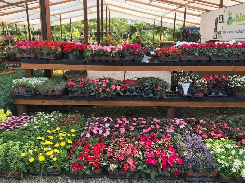 Bloom Landscaping photo 1