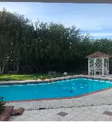Paradise Pool and Spa photo 6