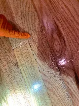 Clearview Pest Control & Exterminator Services photo 8