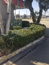 JT Lawn Service photo 7