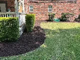 Super Green J&D LLC photo 6