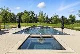 Cactus Pool Designs photo 5