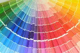 The Painting Craftsmen photo 8