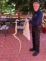 Guardian Pest Management photo 8