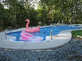 Lowry's Pool Service Plus photo 2