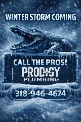 Prodigy Plumbing, LLC photo 7