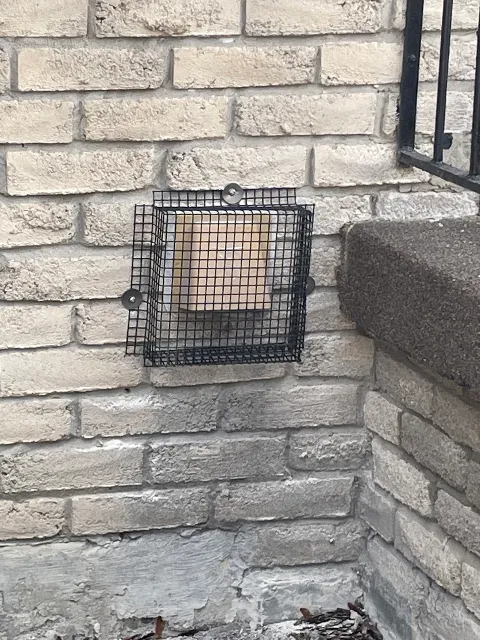 North Star Pest Control in Brampton