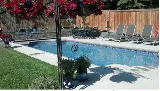 Sunny Beach Pools photo 6