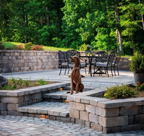 Georgian Landscape Design/North Georgia Landscape Management photo 1