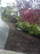 Rivera's Lawn Care & Landscaping LLC photo 8
