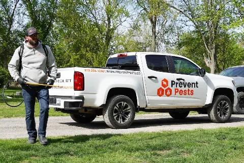 Prevent Pests in Flint