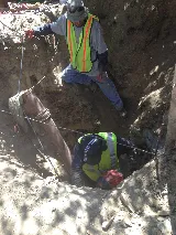 Champion Plumbing & Rooter photo 4