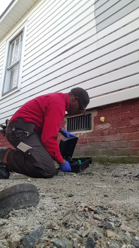 Go-Forth Pest Control photo 1