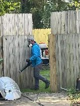 Summit Pest Solutions photo 7