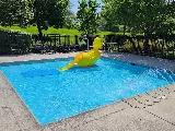 Swimming Pool Management Systems photo 2