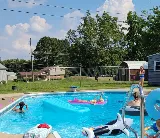 Blue Dolphin Pools photo 5
